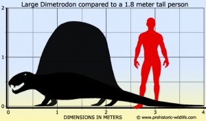 dimetrodon-size.jpg