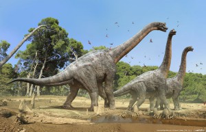 35_brachiosaurus_damir.jpg